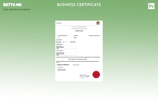 модерен стил во Канада деловна лиценца Шаблон за Word и PDF